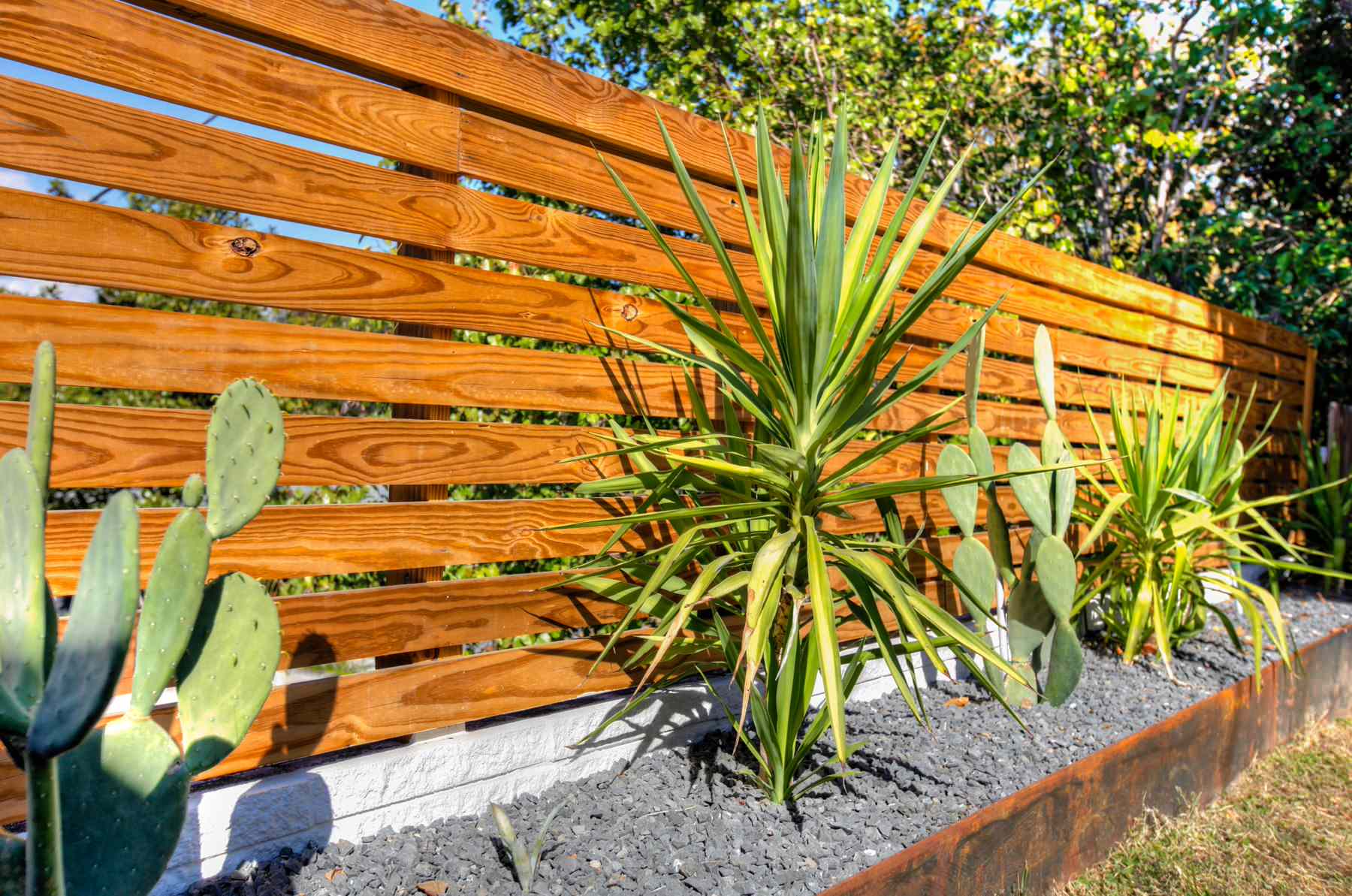 Stained horizontal wood-slat backyard fence with cactus and agave landscaping